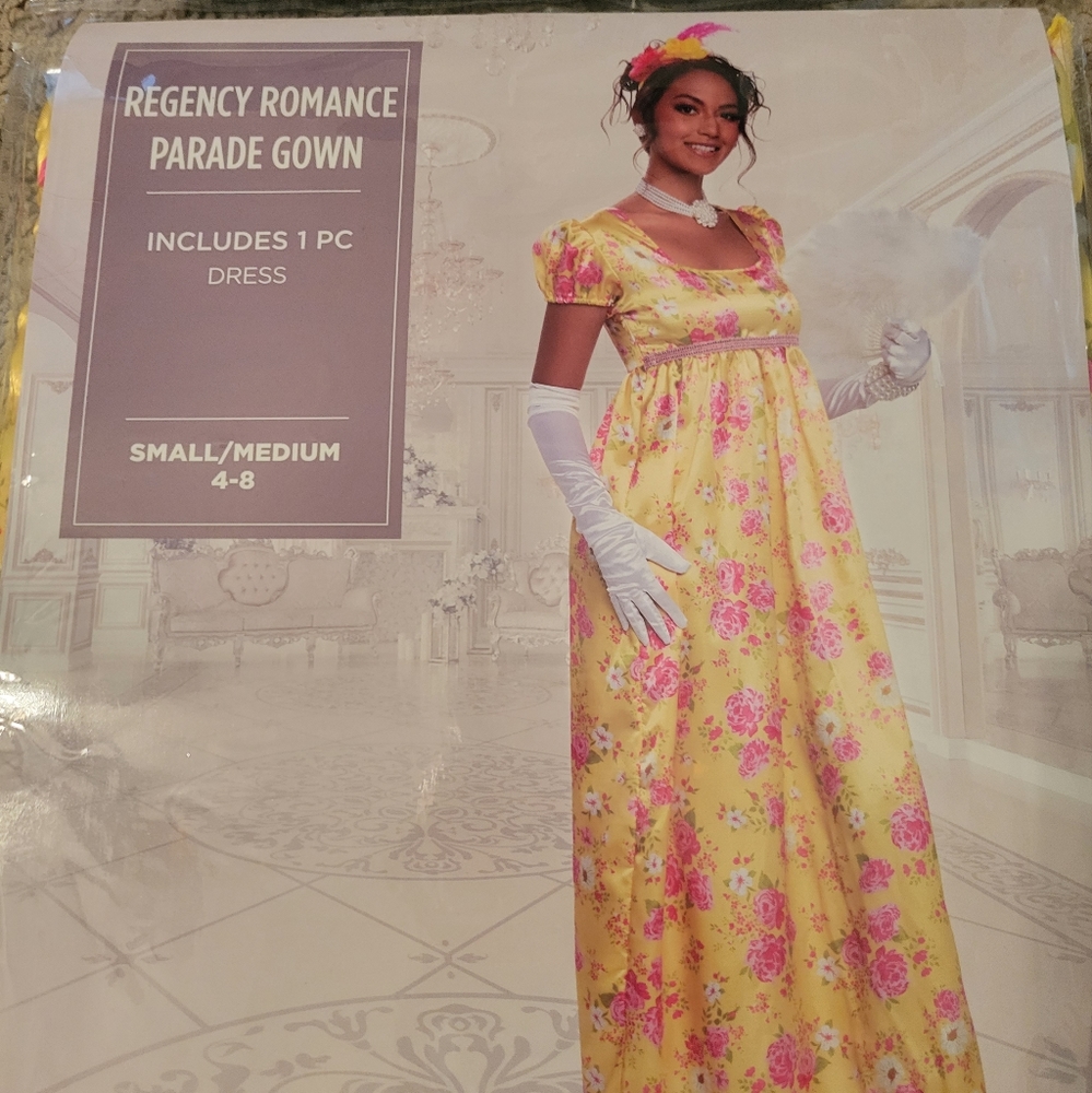 Bridgerton Style Women's Costume
